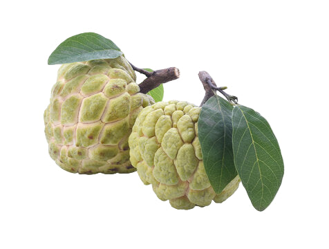 Organic Custard Apple - 500g