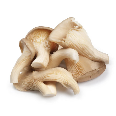 Organic Mushroom Oyster - 250g