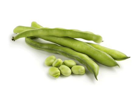 Organic Broad Beans 500g - Italy
