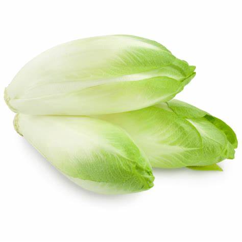 Organic Endive Blanche 500g - France