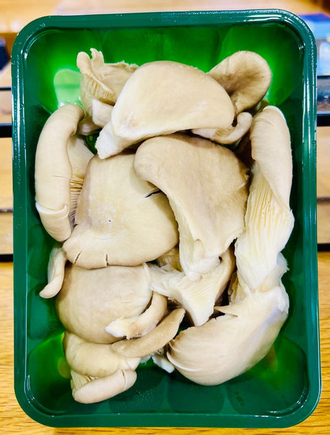 Organic Mushroom Oyster 250grams