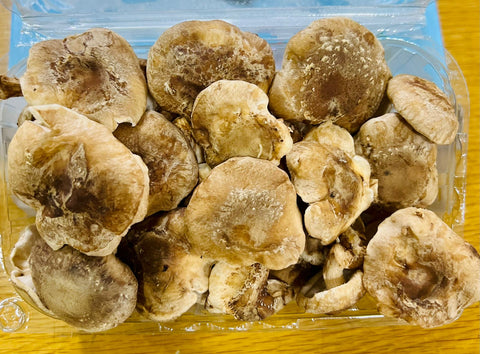 Organic Mushroom Shitake 250grams