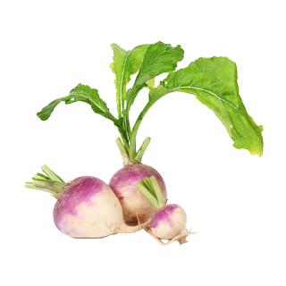 Organic Turnip 500g - France