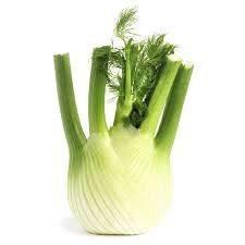 Organic Fresh Fennel 500g - Netherlands