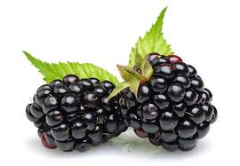Organic Blackberries 125grams - SPAIN