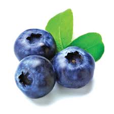 Organic Blueberries 125g -ARGENTINA