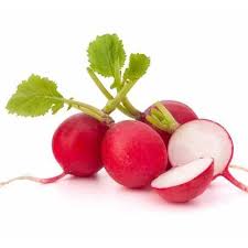 Organic Radish Red 250g - Netherlands