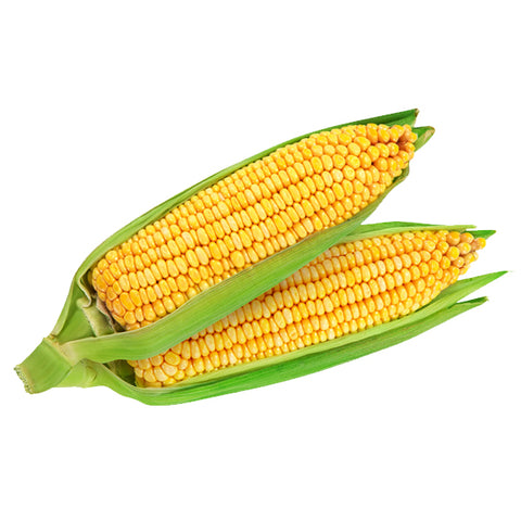 Organic Sweet Corn 1PACK